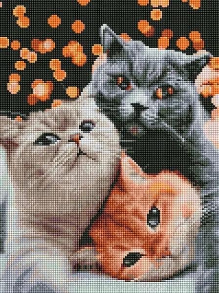 Алмазная мозаика Трио котиков 30х40 см (2042502351)