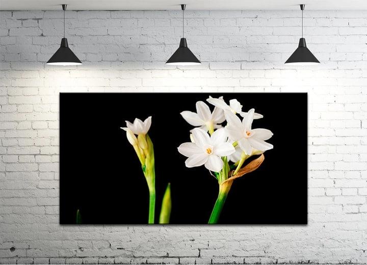 Картина на холсте DK Нарциссы на черном 50х100 см (DKP50100-c690)