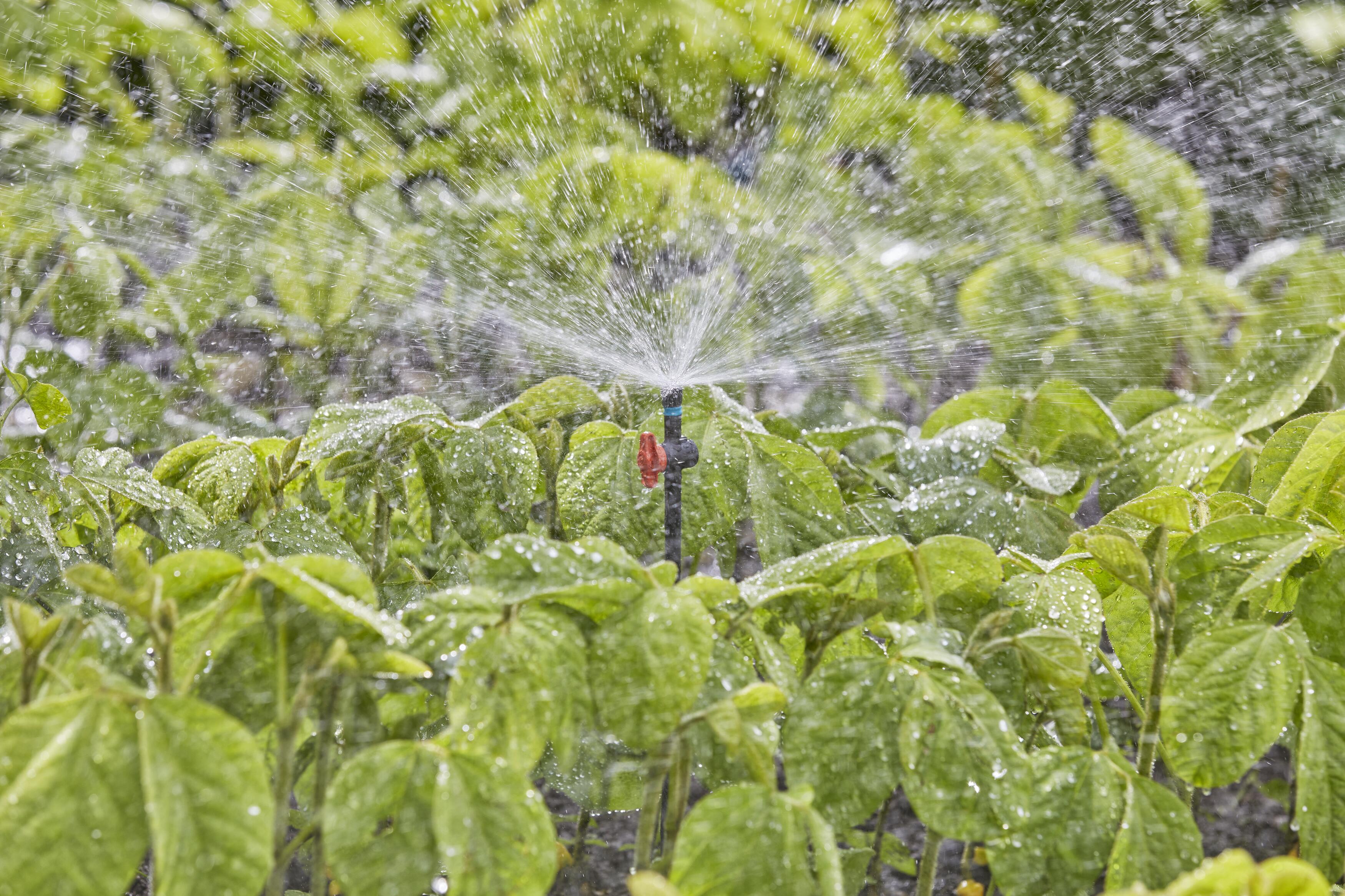 Мікронасадка Gardena Micro-Drip-System секторна 360° 5 шт. (13322-20) - фото 3