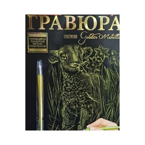 Набор для творчества Danko Toys Гравюра А5 Овца (ГР-А5-02-01з) Набор для творчества Danko Toys Гравюра А5 Овца (ГР-А5-02-01з)