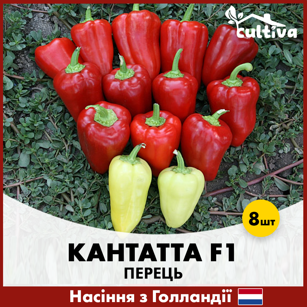 Семена перца Enza Zaden Кантатта F1 8 шт. (426)