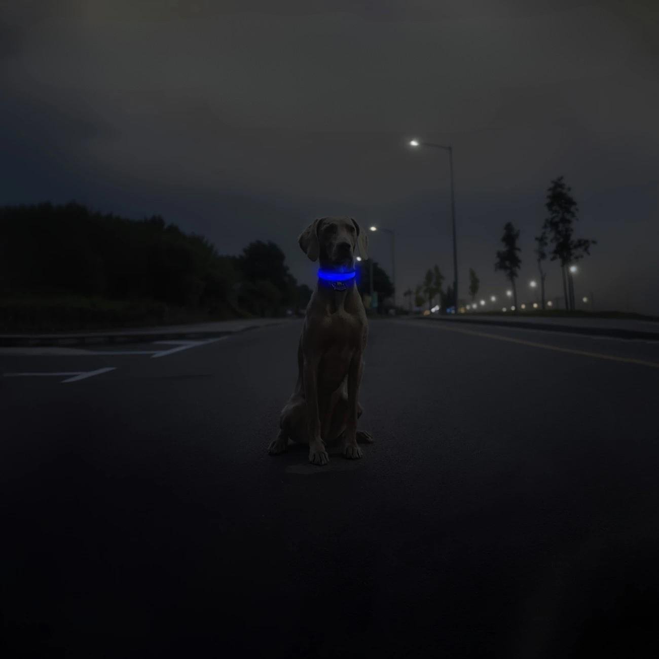 Ошейник для собак светодиодный три режима свечения на батарейках регулируемый L 35-49 см Синий (D-0082) - фото 2