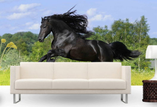 Фотообои флизелиновые для спальни/зала/кухни моющиеся Лошадь Фотообои флизелиновые для спальни/зала/кухни моющиеся Лошадь