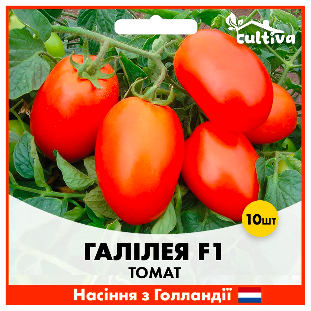 Семена томата Hazera Галилея F1 10 шт. (00207)