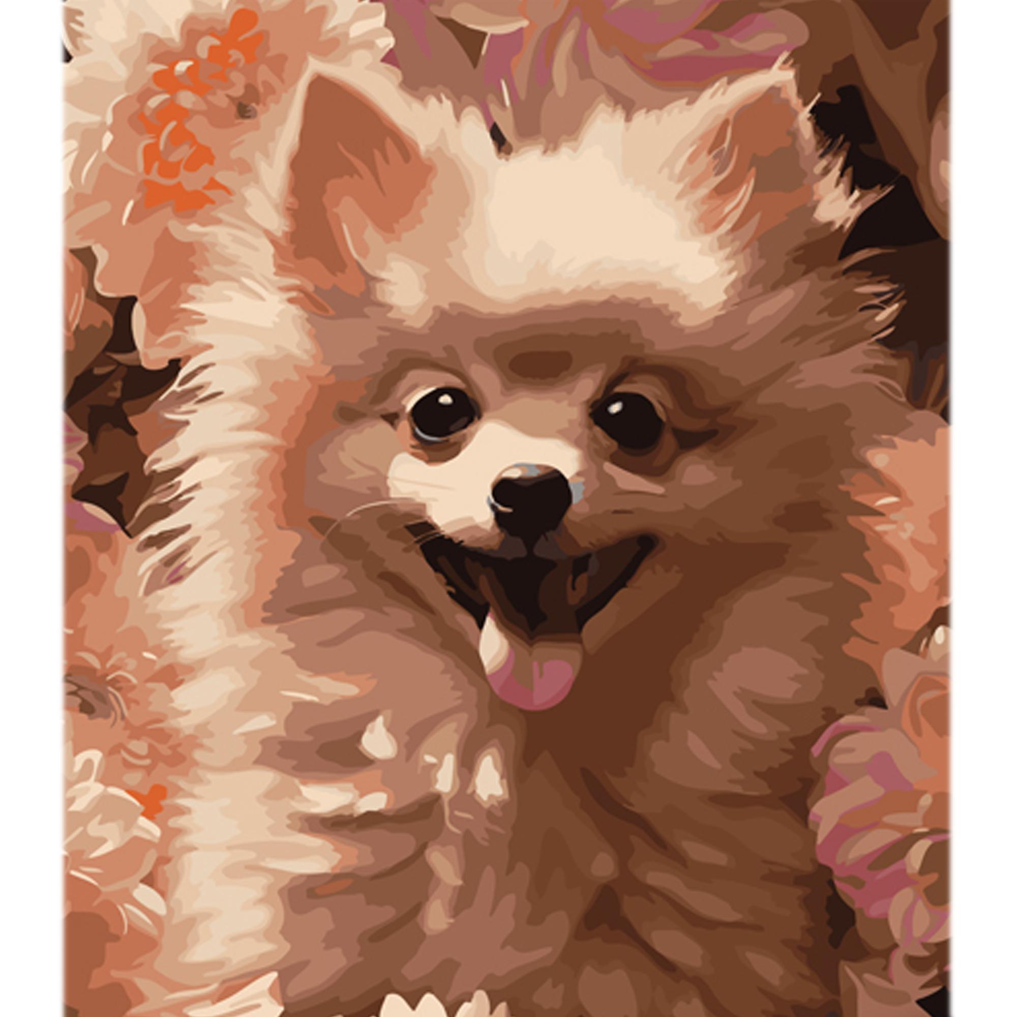 Картина по номерам Strateg Шпиц среди розовых цветов на цветном фоне 40x50 см (MZ009)