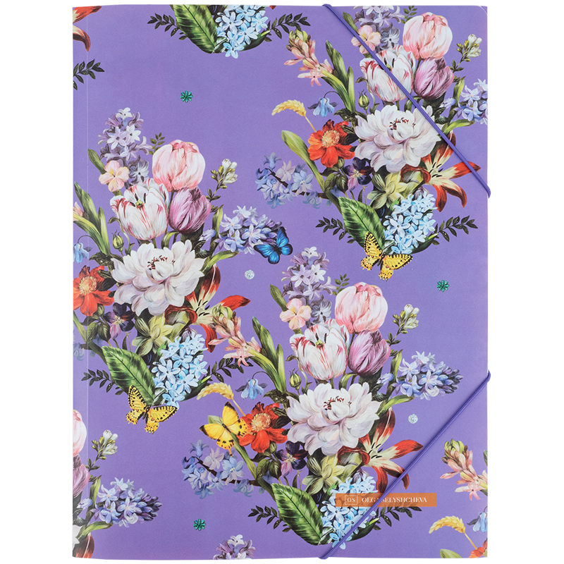 Папка на резинках А4+ Axent OS Secret (1509-35-A)