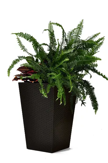 Горщик квітковий Keter Rattan Planter M 55,4 л (CNT00012223) - фото 2 Горщик квітковий Keter Rattan Planter M 55,4 л (CNT00012223) - фото 2