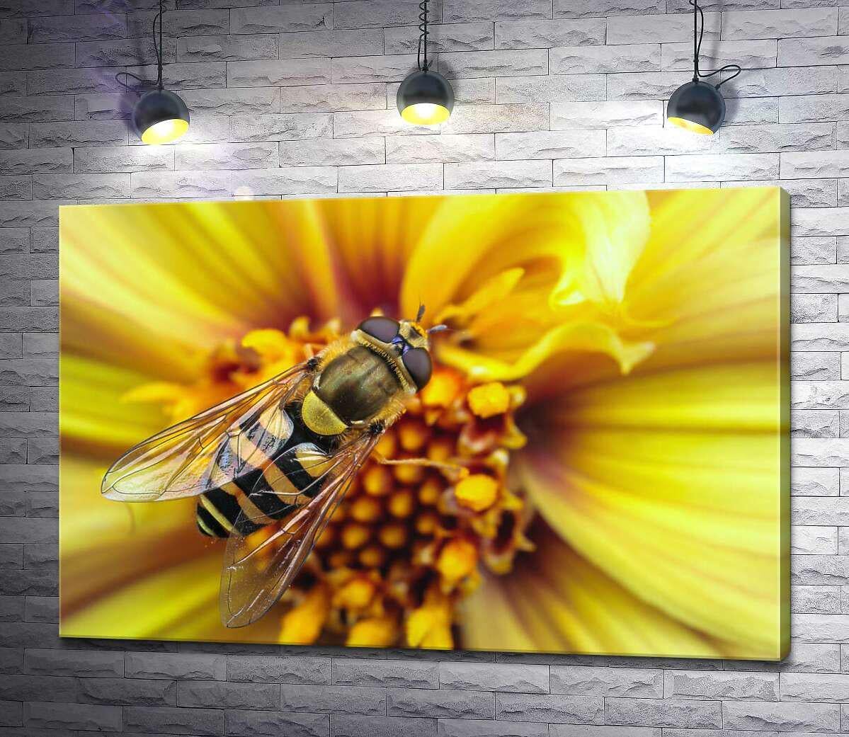 Картина ArtPoster Тендітна бджола запилює сонячно-жовту квітку 100x67 см Модуль №1 (000008)