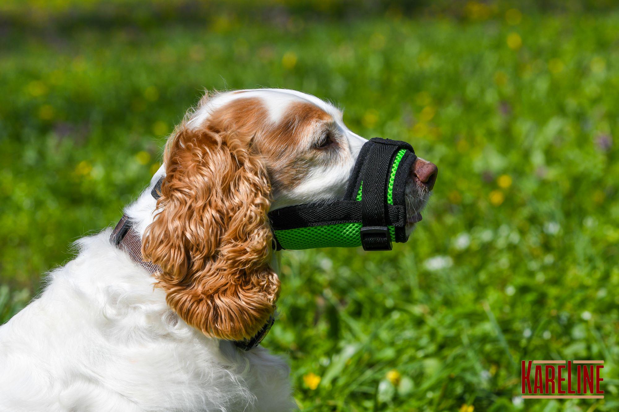 Намордник сетка KareLine из нейлона для йорка XXS (0530/51) - фото 7