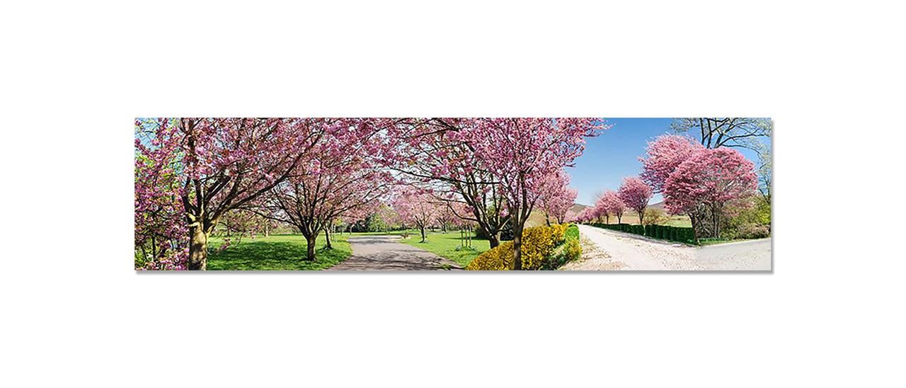 Наклейка виниловая на кухню Zatarga Цветущий сад 600х2500 мм (1274515535)