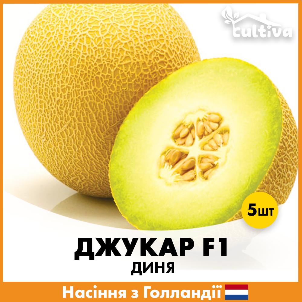 Семена дыни Rijk Zwaan Джукар F1 5 шт. (R51136)