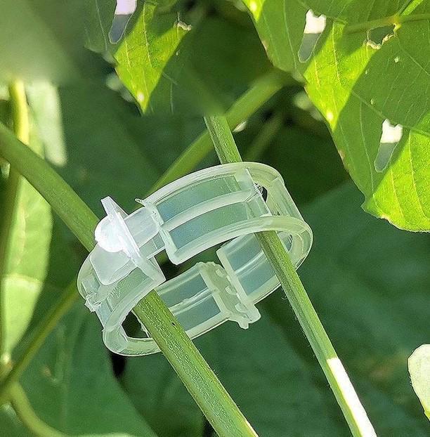 Клипсы для подвязки растений и винограда держатель томатов 25 мм 100 шт. (2104618523) - фото 9 Клипсы для подвязки растений и винограда держатель томатов 25 мм 100 шт. (2104618523) - фото 9