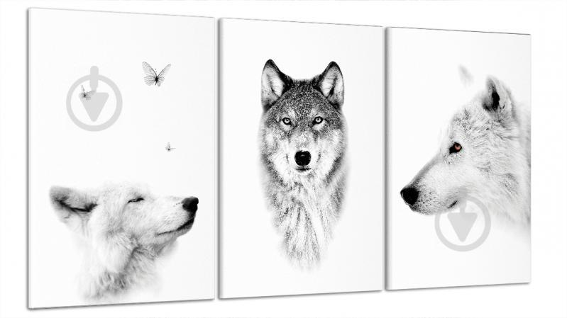 Модульна картина Poster-land Природа Вовк Art-9_B3