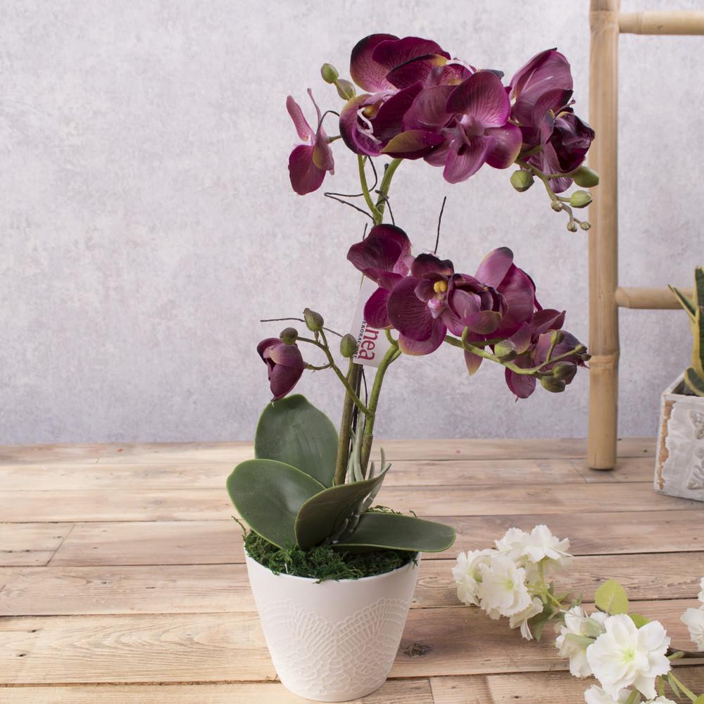 Орхидея латексная в кашпо двойная (бургунди)