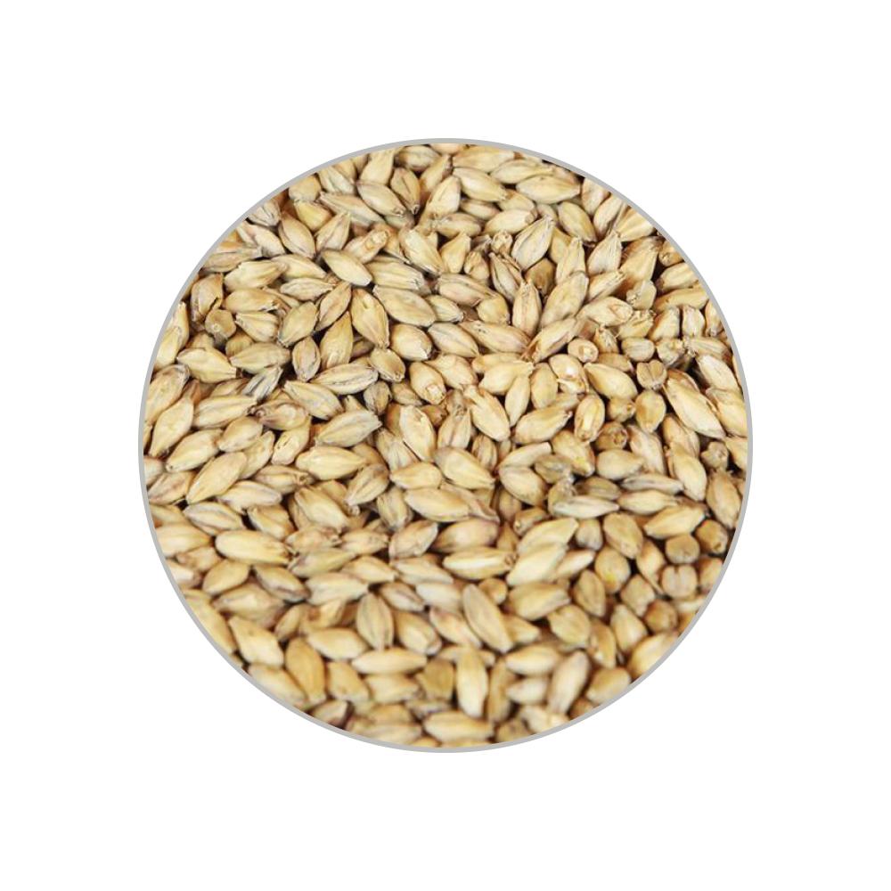 Солод светлый Рremium Pilsner EBC 2-2,5 1 кг Солод светлый Рremium Pilsner EBC 2-2,5 1 кг