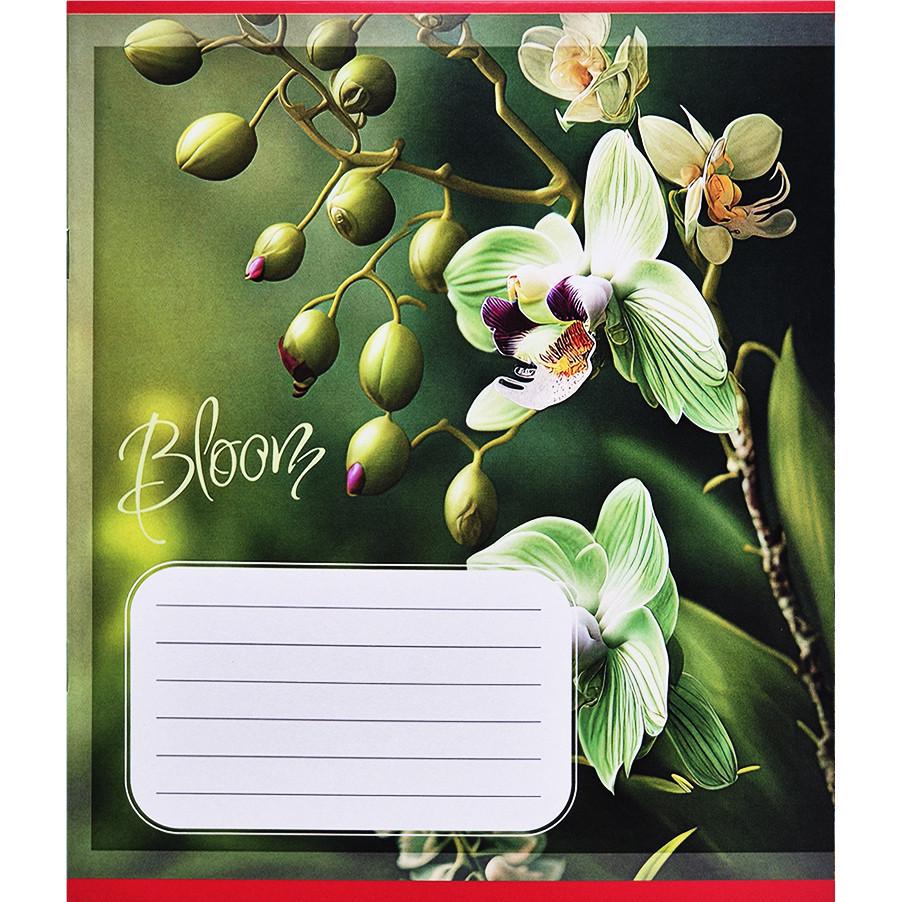 Шкільний зошит Орхідеї 018-530261K-2 в клітинку 18 аркушів (RLT55223)