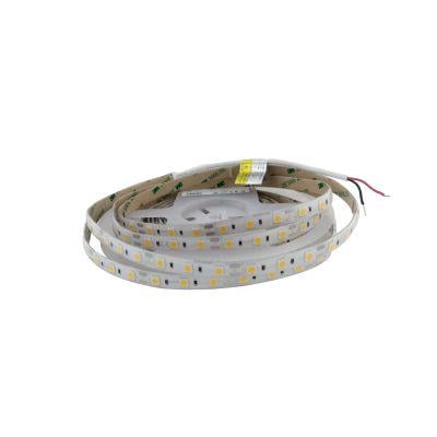 Лента светодиодная 5050-60-IP65-WW-10-12 RD6060AA 2700 K