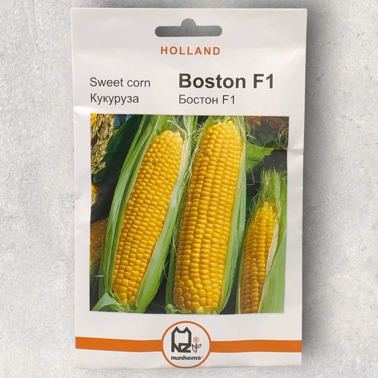 Семена кукурузы Бостон F1 Holland 20 г (34415) Семена кукурузы Бостон F1 Holland 20 г (34415)