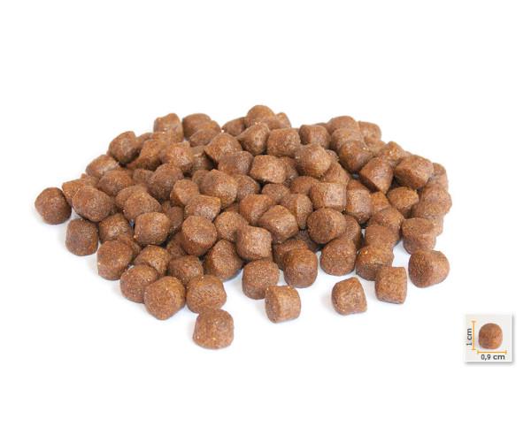 Корм сухий BonaCibo Puppy HIGH ENERGY з м'ясом курки/анчоусами/рисом для активних цуценят всіх порід до 12 місяців 3 кг - фото 2 Корм сухий BonaCibo Puppy HIGH ENERGY з м'ясом курки/анчоусами/рисом для активних цуценят всіх порід до 12 місяців 3 кг - фото 2