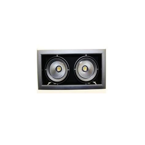Світильник карданний TS DL2108G II LED 2х20 W 4000K Cірий
