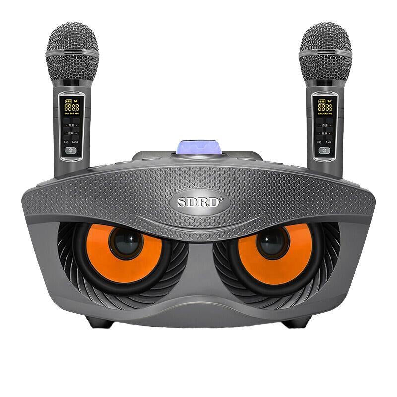 Караоке система SDRD 306Plus на два микрофона с колонкой для дома Серый