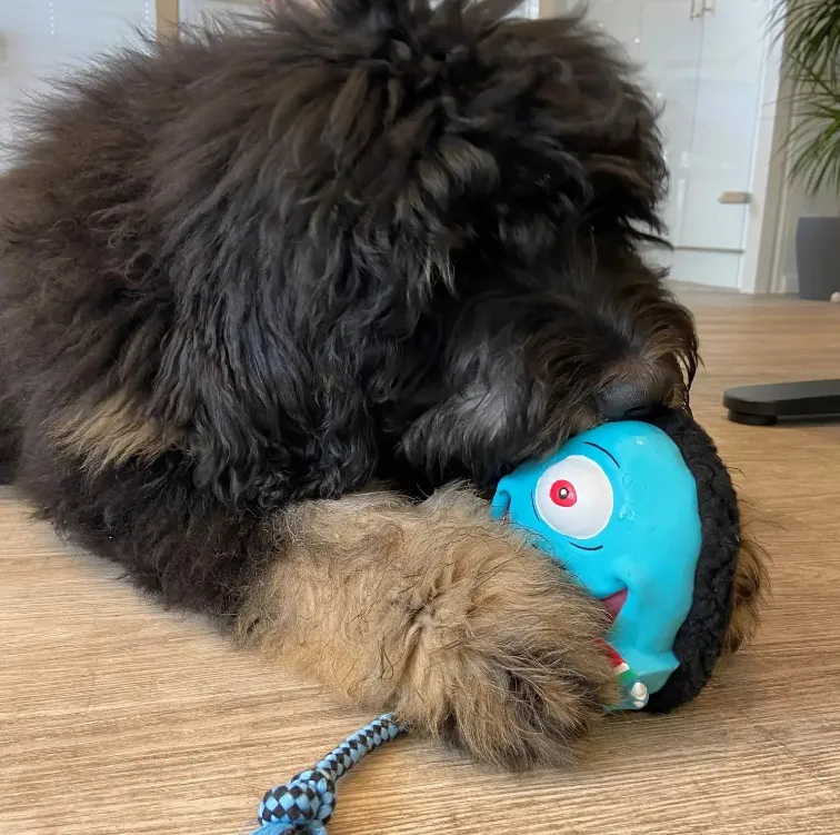 Игрушка для собак Max&Molly Snuggles Toy Bubba King (24762940) - фото 3 Игрушка для собак Max&Molly Snuggles Toy Bubba King (24762940) - фото 3