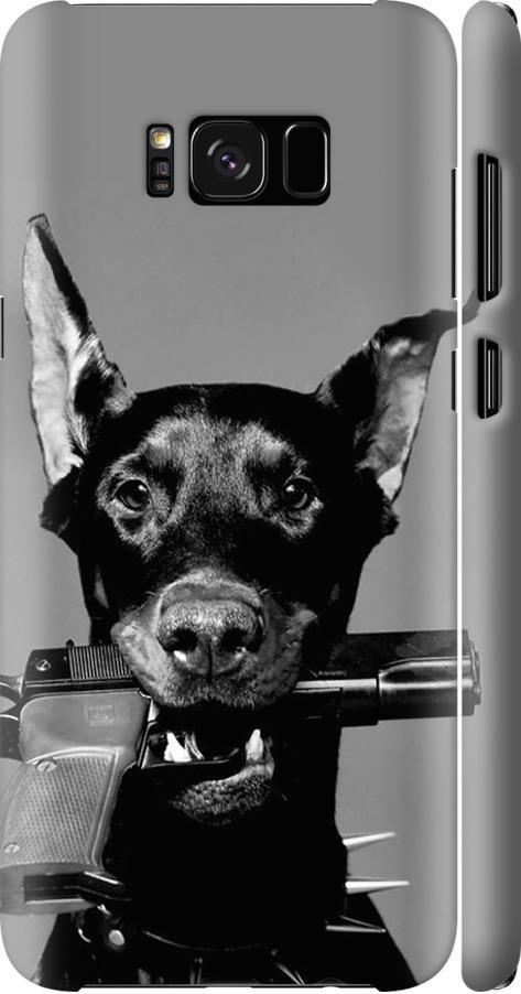 Чехол на Samsung Galaxy S8 Plus Доберман (2745m-817-42517)