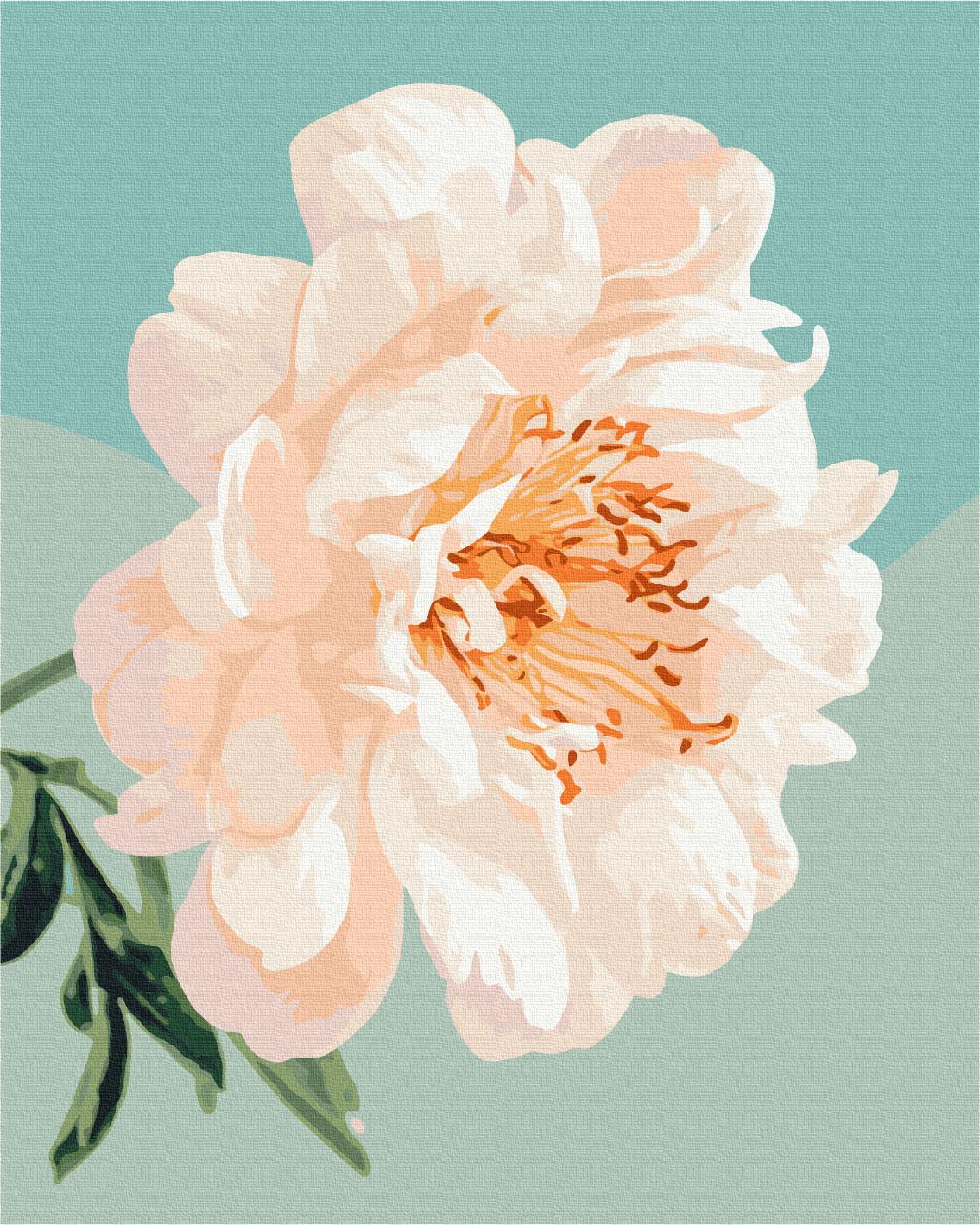 Картина по номерам Brushme Грация пиона 40x50 см (BS53996)