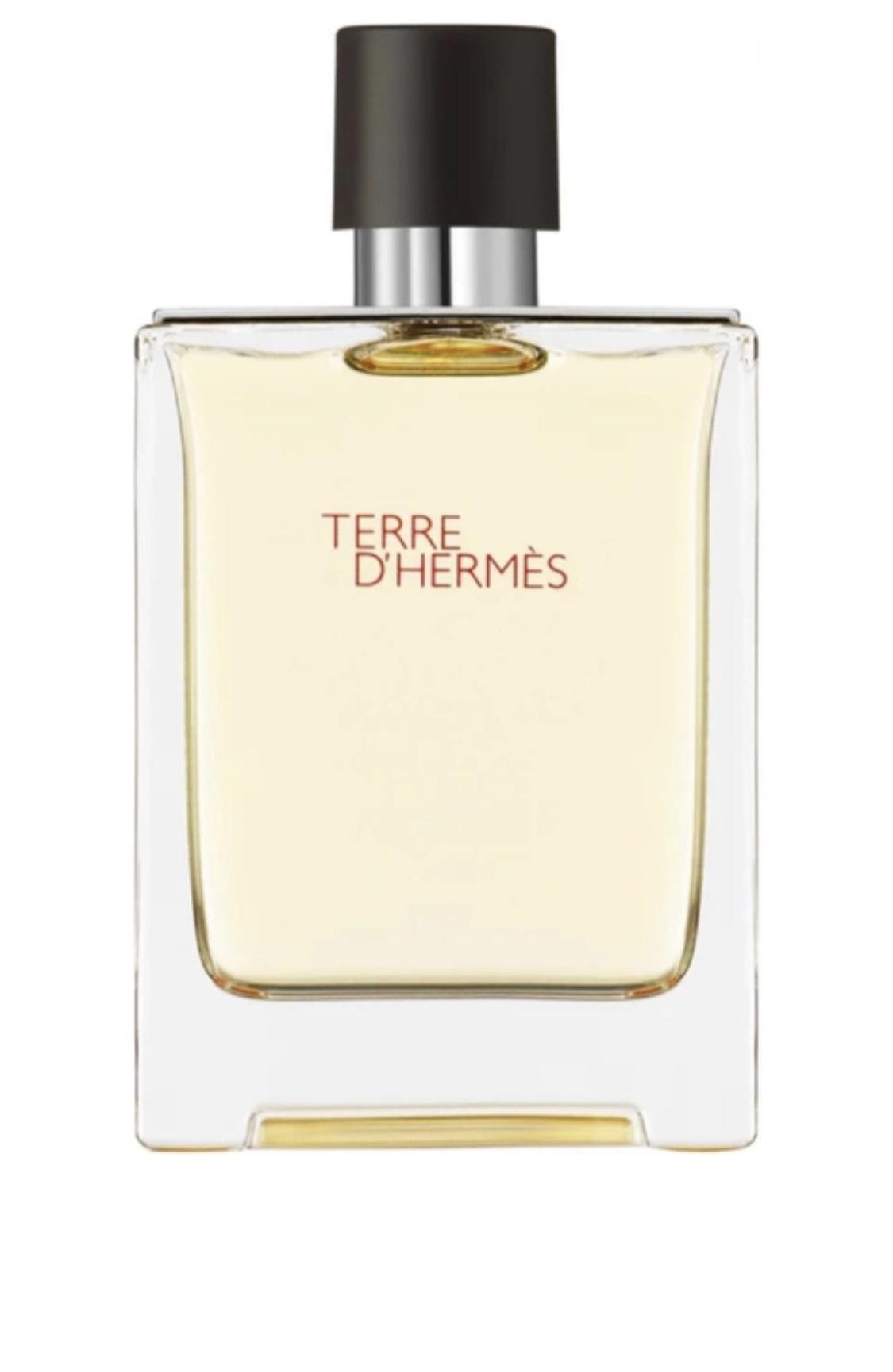 Парфумована вода для жінок Hermes Terre d'Hermes Parfum 100 мл (15199319)