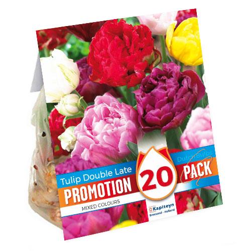 Промо-пак Тюльпан Florium Double Mixed брендовые луковицы Kapiteyn (15377)