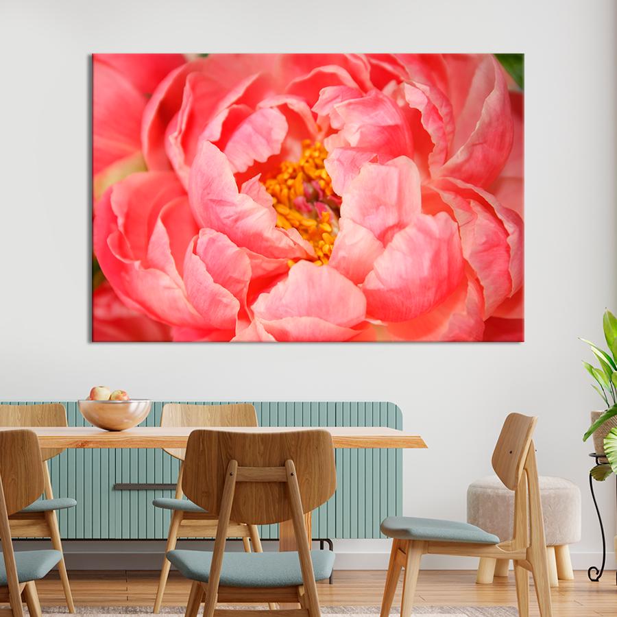 Картина цветы и растения Пион коралловый закат 51x34 см (A978-1)