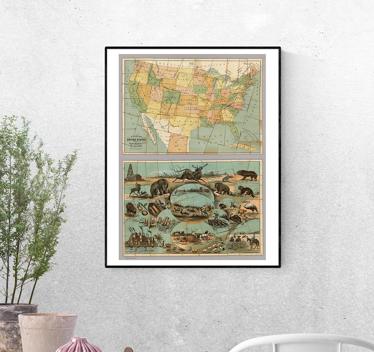 Постер Контурная карта США формат А-1