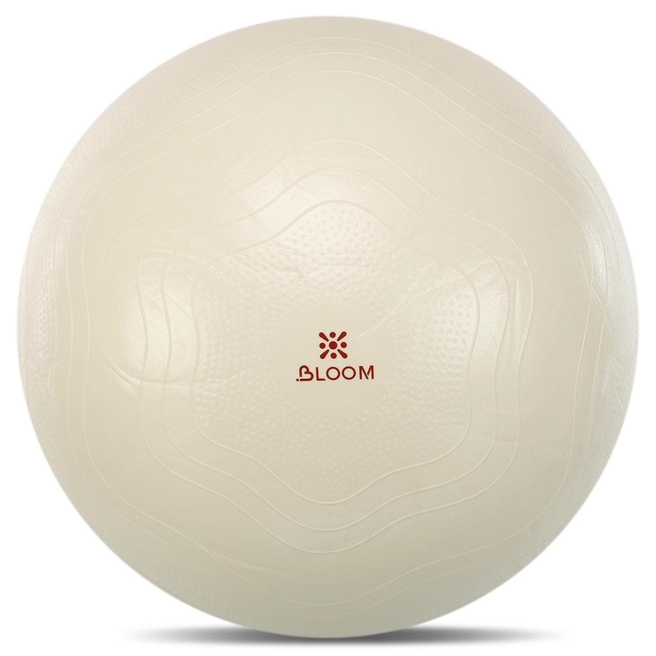 Фитбол для фитнеса Bloom LB7051-75 Anti-Burst сатин 75 см (2538316820)