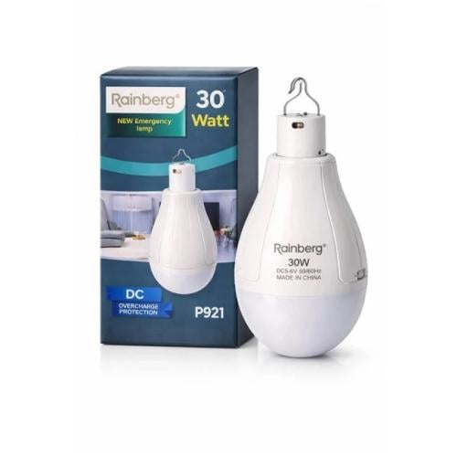 Лампочка с аккумулятором 2x18650 RB-P921 USB 30W
