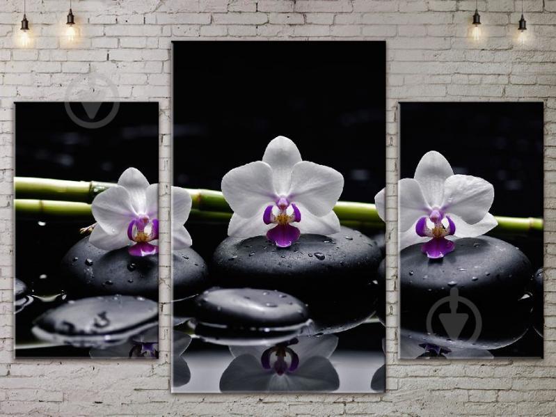 Модульная картина ArtStar цветы Орхидеи на Камнях ADFL0077 размер 45 х 70 см