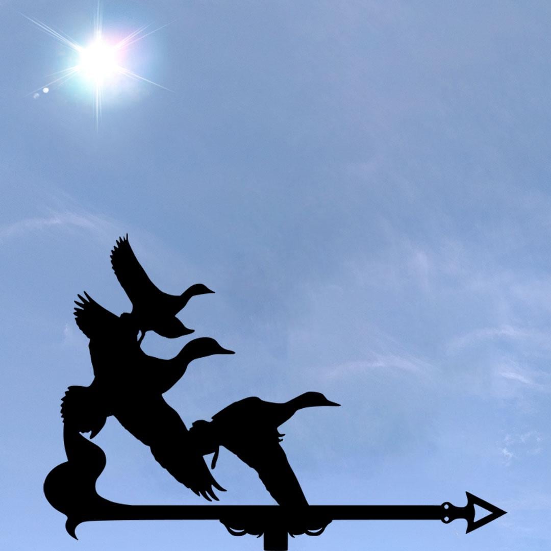 Флюгер на будинок Качки (27641583)