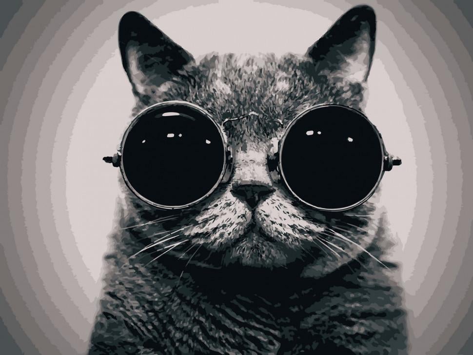 Картина за номерами Art Craft "Кіт морфеус" 40x50 см (11607-AC)