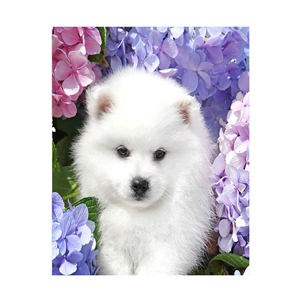 Алмазная мозаика Strateg Белоснежный шпиц 40х50 см (FA40042)