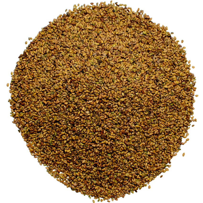 Семена травы люцерны Банат намагничена (6124869)