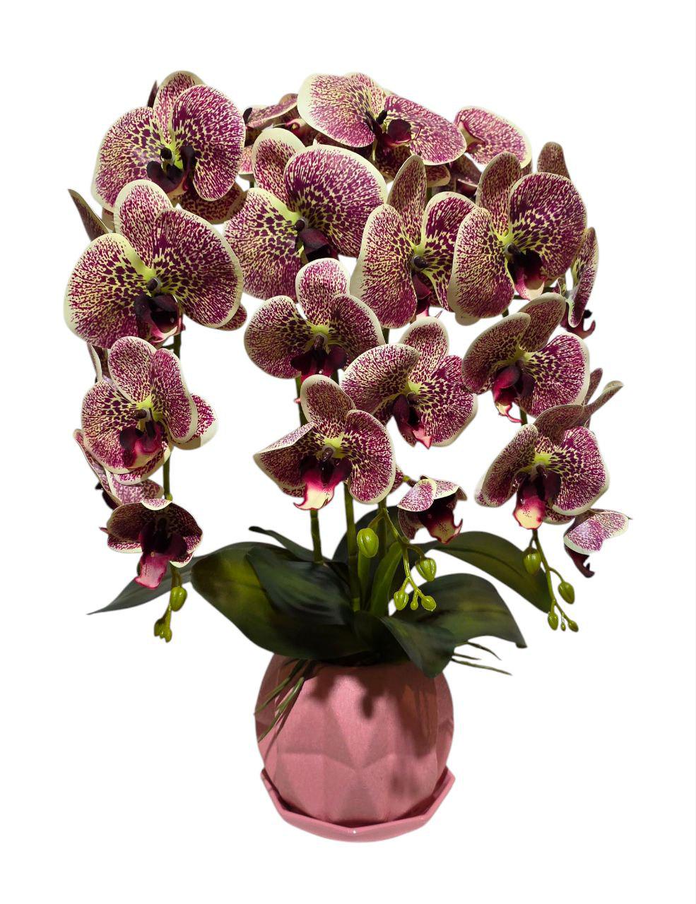 Орхидея искусственная Ravisto 52x32 см Тигрово-бордовый (0515-5)