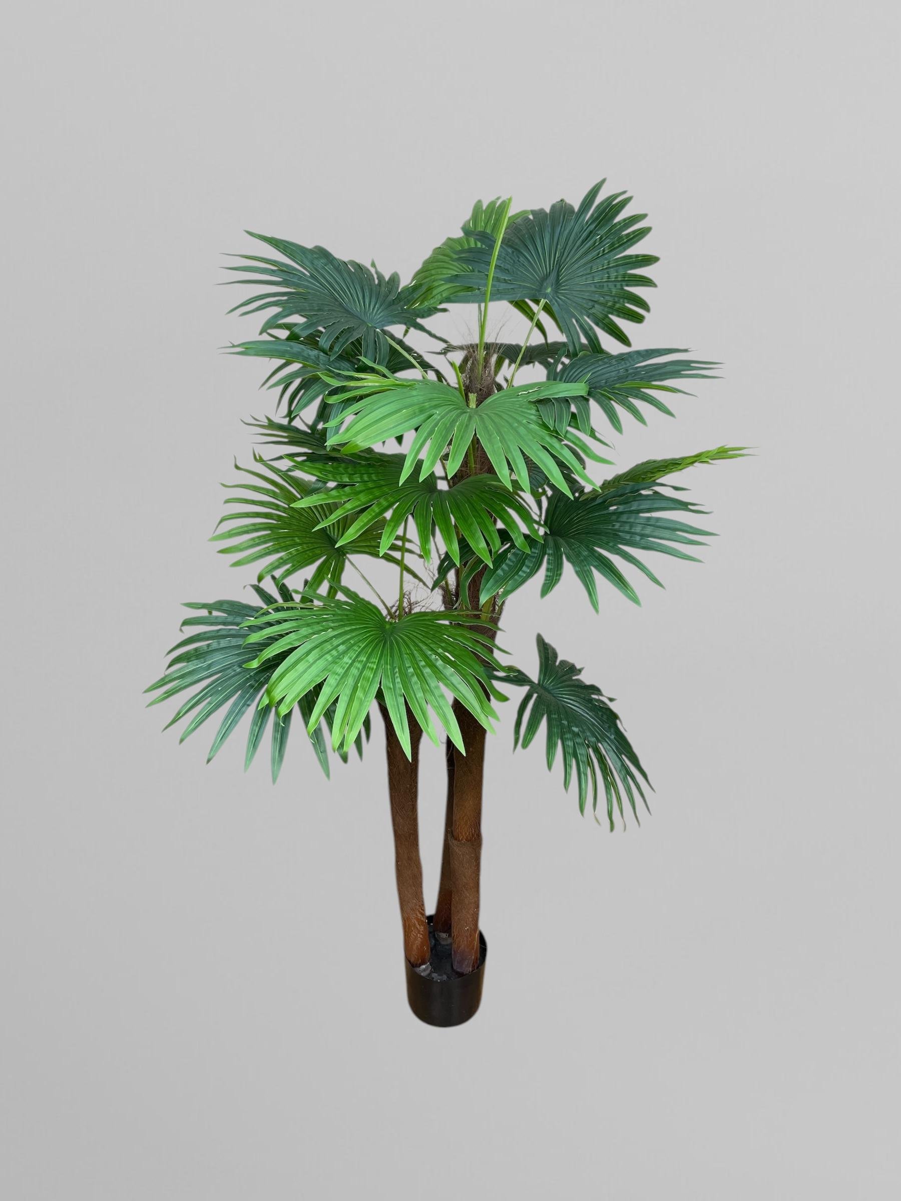 Искусственная пальма Вашингтония 150 см Зеленый (Д13021)