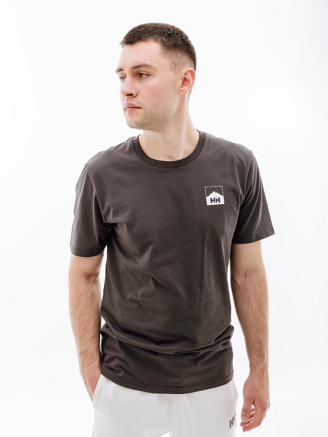 Футболка мужская Helly Hansen NORD GRAPHIC HH T-SHIRT M Серый (7d62979-981 M)