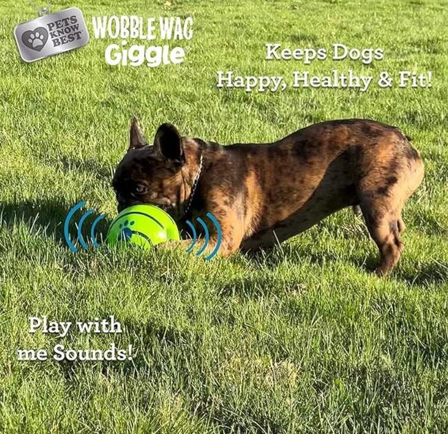 Игрушка для собак Wobble Wag Giggle Ball Мяч с забавными звуками - фото 5 Игрушка для собак Wobble Wag Giggle Ball Мяч с забавными звуками - фото 5