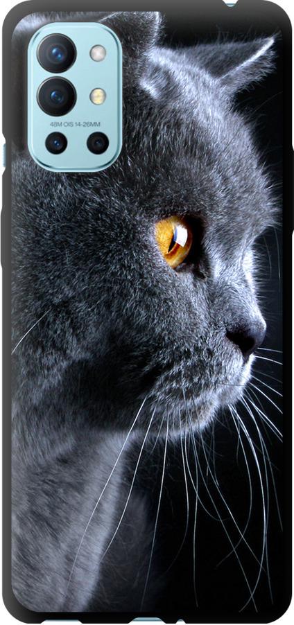 Чехол на OnePlus 9R Красивый кот (3038b-2326-42517)
