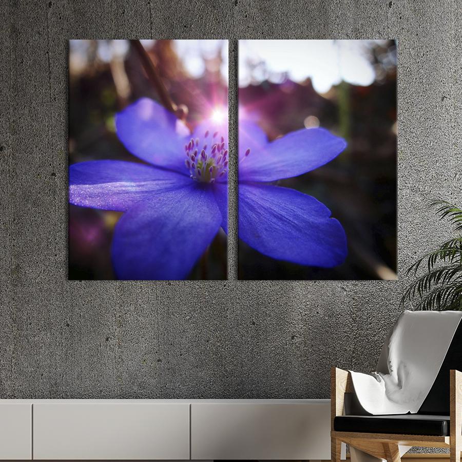 Картина на холсте Красивый голубой цветок 71x51 см (827-2)