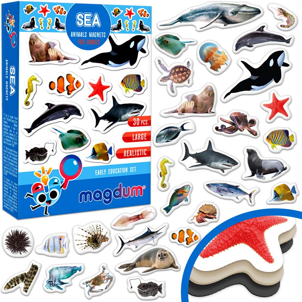 Набір магнітів Magdum Морські фото (ML4031-28 EN) - фото 10 Набір магнітів Magdum Морські фото (ML4031-28 EN) - фото 10