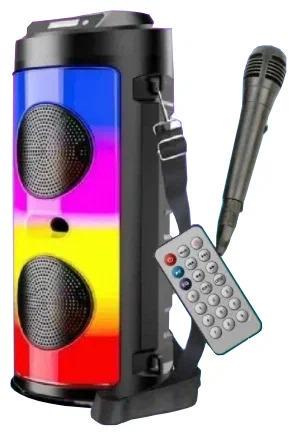 Портативная акустическая система Winso ZQS4248 с микрофоном 2х6,5" 10 W (fafb53d6)