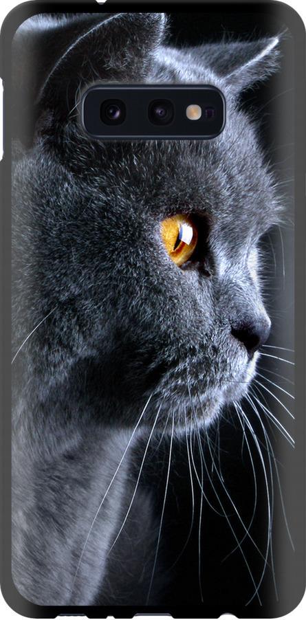 Чохол на Samsung Galaxy S10e Гарний кіт (3038b-1646-42517)