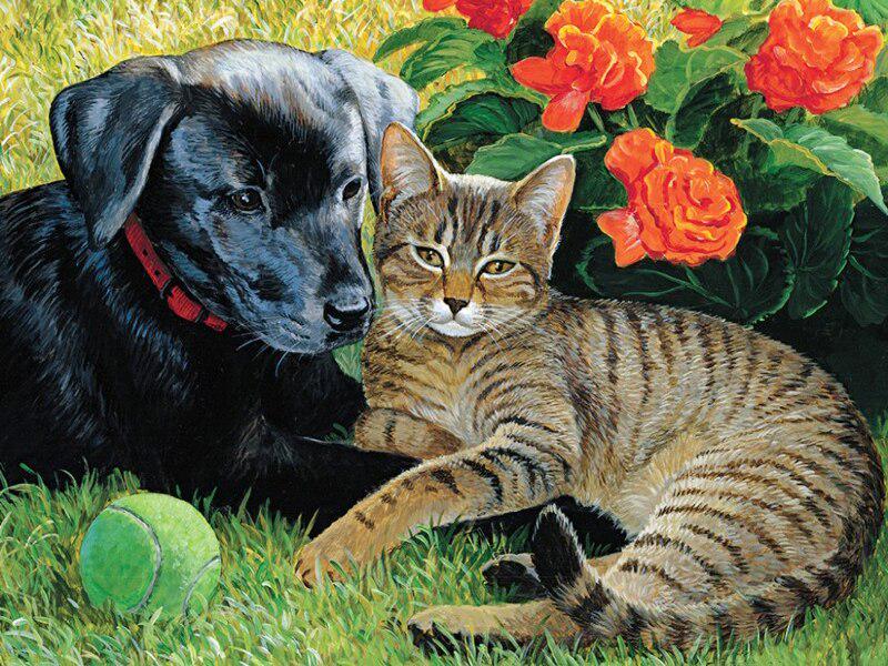 Алмазная мозаика Emerald Craft Пес и кошка 20x30 см (23654)