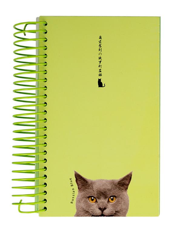 Блокнот на спирали AIHAO Зеленый (MAH-2019-605751)